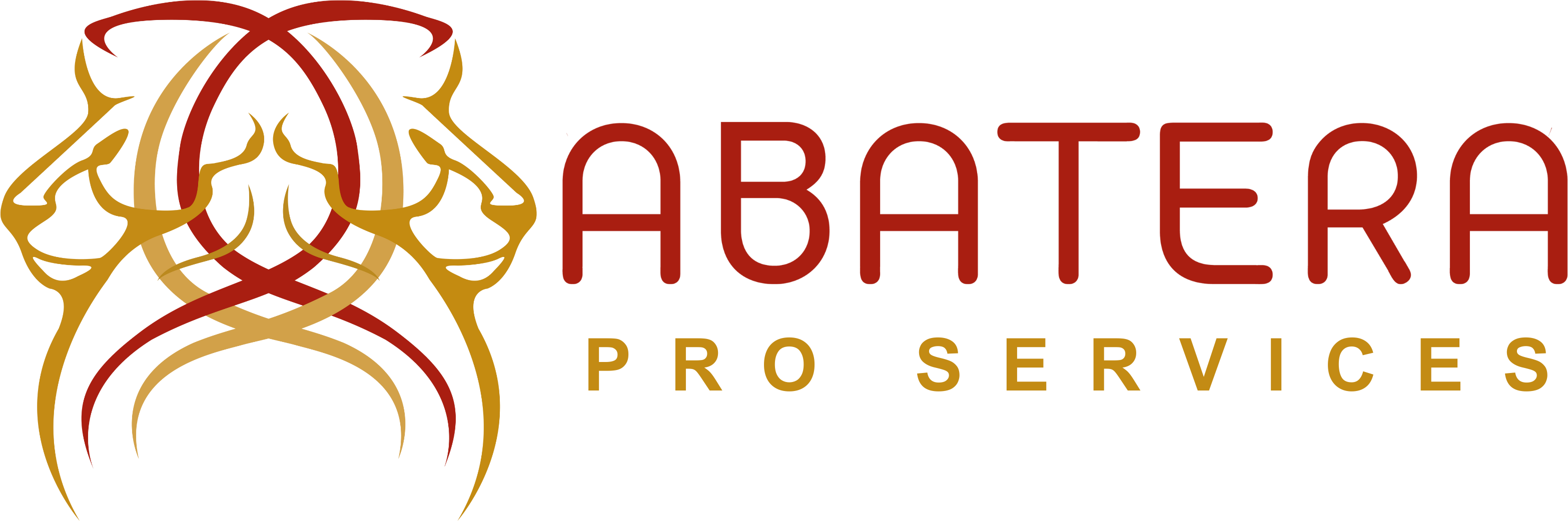 Abatera PRO Services